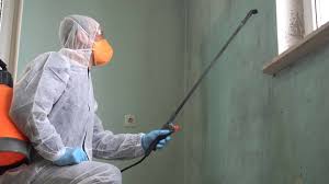 Best Mold Odor Removal Services  in Jasper, GA