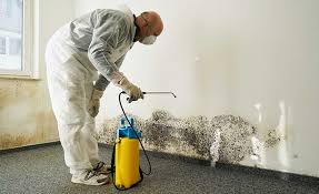 Mold Remediation for Rental Properties in Jasper, GA